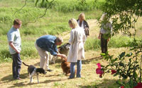 Urlaub mit Hund an der Nordsee