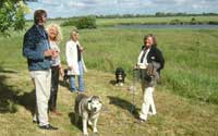 Urlaub mit Hund an der Nordsee