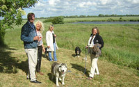 Haus am See in Nordfriesland